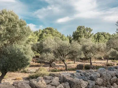 Rhodes Bild 1